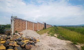 Foto de inmueble en Sin nombre de calle, Col. Yecapixtla C.P. 62820, Yecapixtla