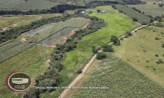 Foto de inmueble en , Col. Yecapixtla C.P. 62820, Yecapixtla
