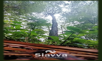 Foto de inmueble en AVÁNDARO, VALLE DE BRAVO, Col. Valle de Bravo C.P. 51200, Valle de Bravo