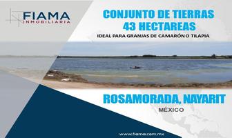 Foto de inmueble en , Col. Ampliación El Paraíso 2da. Sección C.P. 63035, Tepic