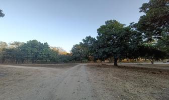 Foto de inmueble en Terrenos EN Venta Campestres  EN Bucerías, Riviera Nayarit, Col. Bucerías Centro C.P. 63732, Bahía de Banderas