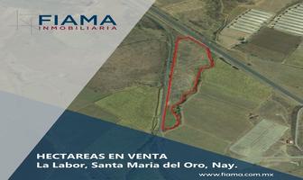 Foto de inmueble en , Col. San Leonel C.P. 63830, Santa María del Oro