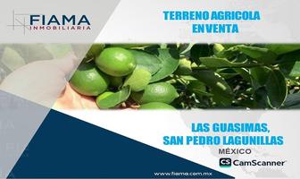 Foto de inmueble en , Col. San Pedro Lagunillas C.P. 63800, San Pedro Lagunillas