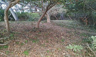 Foto de inmueble en Lote Patzcuarito, Col. Sayulita C.P. 63734, Bahía de Banderas