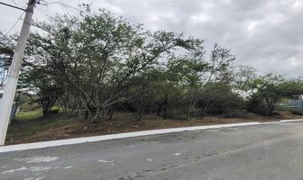 Foto de inmueble en , Col. Alfonso Martinez Dominguez C.P. 67350, Allende