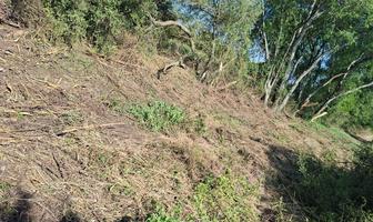 Foto de inmueble en Loma de las palmas, Los herreros Cadereyta Jimenez, Col. Atongo de Abajo C.P. 67460, Cadereyta Jiménez