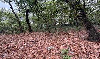 Foto de inmueble en , Col. Bosques de San Ángel Sector Palmillas C.P. 66290, San Pedro Garza García