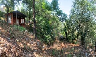 Foto de inmueble en , Col. Bosques de San Ángel Sector Palmillas C.P. 66290, San Pedro Garza García
