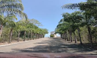 Foto de inmueble en Chamuyil, Col. Campestre Bosque Real C.P. 67610, Montemorelos