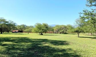 Foto de inmueble en Canoas, Col. Canoas C.P. 67610, Montemorelos