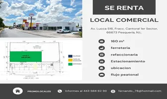 Foto de inmueble en Av. Lucca #516, Col. Cantoral C.P. 66673, Pesquería