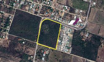Foto de inmueble en Venta Terreno de 43,750 m2 LA Barranca en Montemorelos, Nuevo León., Col. Congregación Calles C.P. 67608, Montemorelos