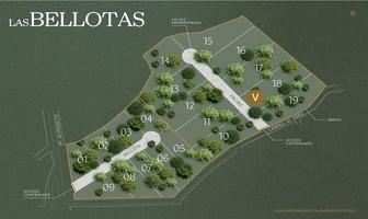 Foto de inmueble en Las Bellotas, Col. El Barrial C.P. 67303, Santiago