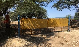 Foto de inmueble en Terreno - Venta, Col. El Barrial C.P. 67740, Linares