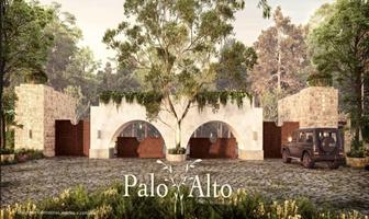 Foto de inmueble en palo alto, Col. El Barrial C.P. 67303, Santiago
