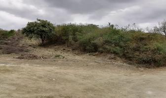 Foto de inmueble en paseo del palo blanco, Col. El Barro C.P. 64997, Monterrey