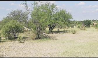 Foto de inmueble en , Col. El Carrizo C.P. 66842, Los Ramones