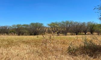Foto de inmueble en Terreno EN Venta – 96 Hectáreas | Mesa DE LA Anacua, Montemorelos, N.l., Col. El Fraile C.P. 67600, Montemorelos