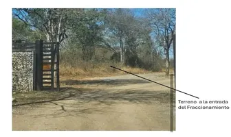 Foto de inmueble en Carretera Montemorelos Rayones #100, Col. El Pastor C.P. 67617, Montemorelos