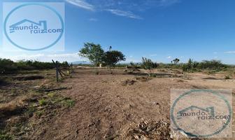Foto de inmueble en Terreno Campestre en Venta  Salinas Victoria, N.l., Col. Hacienda los Villarreales C.P. 65530, Salinas Victoria