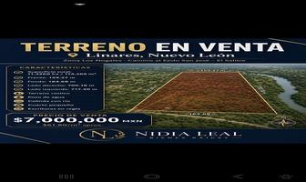 Foto de inmueble en El Salitre, Col. La Loma C.P. 67770, Linares
