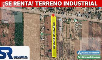 Foto de inmueble en Terreno EN Renta EN Pesqueria, Col. La Providencia C.P. 66683, Pesquería