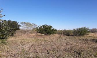 Foto de inmueble en , Col. La Purísima C.P. 67460, Cadereyta Jiménez