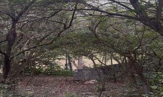 Foto de inmueble en , Col. Las Margaritas C.P. 64990, Monterrey