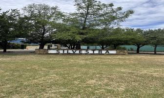 Foto de inmueble en Paseo de las aves, Col. Las Raíces C.P. 67619, Montemorelos