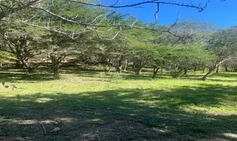 Foto de inmueble en Callejon al Arroyo #100, Col. Lazarillos de Abajo C.P. 67374, Allende