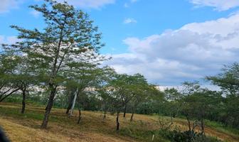 Foto de inmueble en JOSE T. GARZA, Col. Lazarillos de Abajo C.P. 67374, Allende