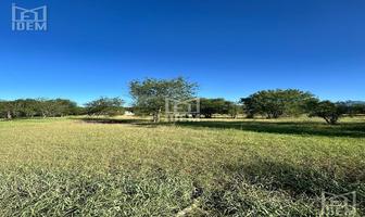 Foto de inmueble en Allende, Col. Los Guzmán C.P. 67370, Allende