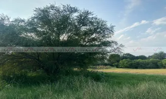 Foto de inmueble en Sin nombre de calle, Col. Los Palmitos C.P. 67465, Cadereyta Jiménez