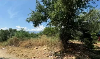 Foto de inmueble en Sin nombre de calle, Col. Los Rodriguez C.P. 67300, Santiago