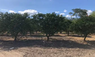 Foto de inmueble en Sin nombre de calle, Col. Misiones de Río Verde C.P. 67716, Linares