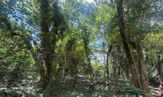 Foto de inmueble en Sin nombre de calle, Col. Olinalá C.P. 66290, San Pedro Garza García