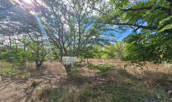 Foto de inmueble en , Col. Palmitos (Hacienda Palmitos) C.P. 67465, Cadereyta Jiménez