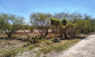 Foto de inmueble en pesqueria, Col. Pesquería C.P. 66650, Pesquería