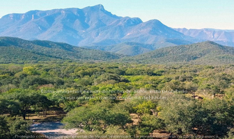 Foto de inmueble en Rayones, Col. Rayones C.P. 67650, Rayones