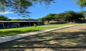 Foto de inmueble en San Roque, Col. San Roque C.P. 67280, Juárez