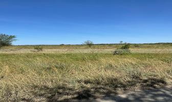 Foto de inmueble en Soledad Herrera, Col. Soledad Herrera C.P. 67475, Cadereyta Jiménez