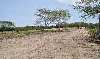 Foto de inmueble en Sin nombre de calle, Col. El Rosedal C.P. 70937, Santa María Colotepec