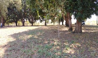 Foto de inmueble en Venta de Terreno en Colonia Insurgentes por Reclusorio en Tuxtepec Oaxaca., Col. Insurgentes C.P. 68334, San Juan Bautista Tuxtepec