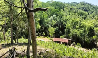 Foto de inmueble en Sin nombre de calle, Col. Mazunte C.P. 70947, Santa María Tonameca