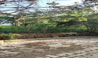 Foto de inmueble en Sin nombre de calle, Col. Mazunte C.P. 70947, Santa María Tonameca