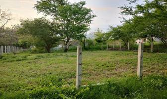 Foto de inmueble en Los Tamarindos, Col. Unidad Ecológica Punta Escondida C.P. 70934, Santa María Colotepec