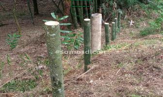 Foto de inmueble en Cuetzalan del Progreso, Col. Ciudad de Cuetzalan C.P. 73560, Cuetzalan del Progreso