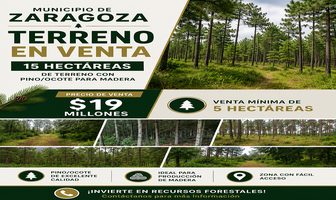 Foto de inmueble en Carretera oyameles, Col. Ixmatlaco C.P. 73909, Tlatlauquitepec
