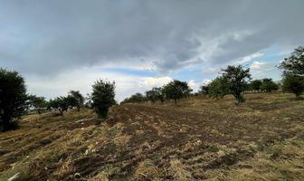 Foto de inmueble en , Col. La Joya de Santiago Mextla C.P. 74160, Huejotzingo