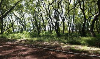 Foto de inmueble en CAMINO A NEXATENGO, Col. Las Calandrias C.P. 74294, Atlixco